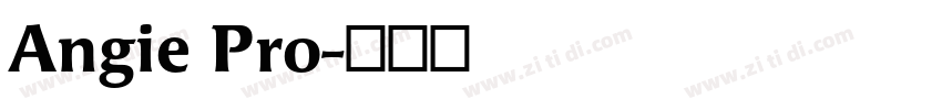 Angie Pro字体转换